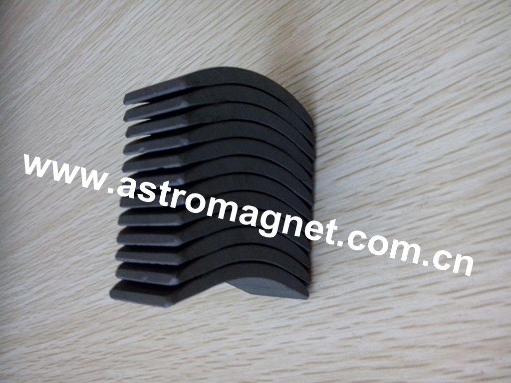 Hard   Ferrite   Magnets   Applied  in  Motor  Magnets  