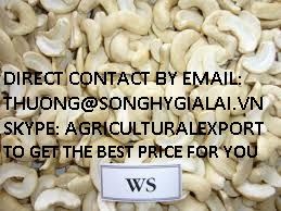 CASHEW NUT BEST PRICE VIETNAM ORIGIN