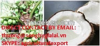 VIETNAM DESICCATED COCONUT HIGH FAT, MEDIUM/FINE GRADE