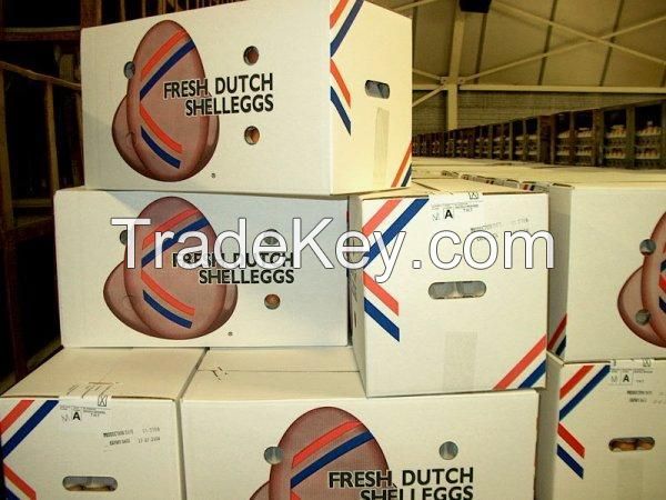 Eggs, Oeufs, Huevos Holland Export Import Victoria Mondial