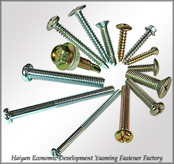 Machine screw