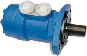 hydraulic motor