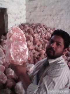 natural Himalayan salt lamps