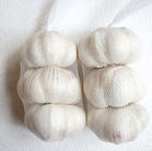 white garlic