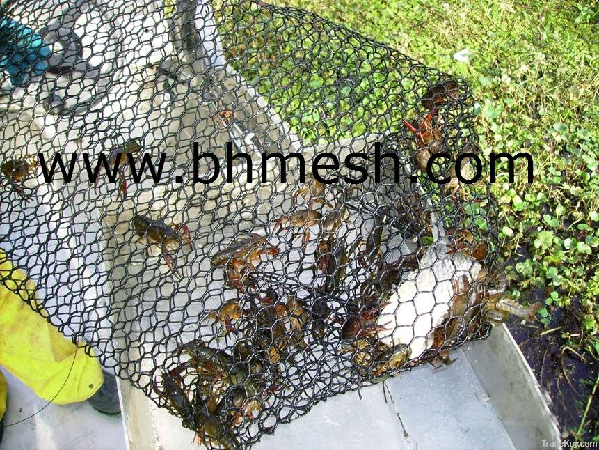 lobster trap, lobster trap netting, lobster mesh