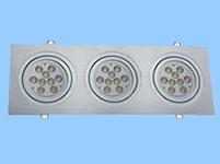 LED Down Light