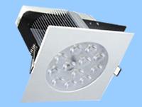 LED Down Light