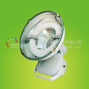 Electrodeless Induction flood light