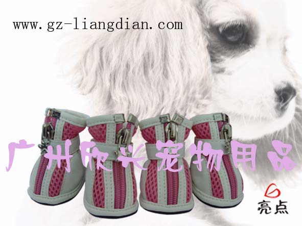 pet shoes