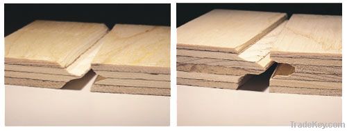 Pine Plywood / CDX Plywood