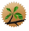 COTTX (A Premium product for Cotton Ginning & Pressing Units)