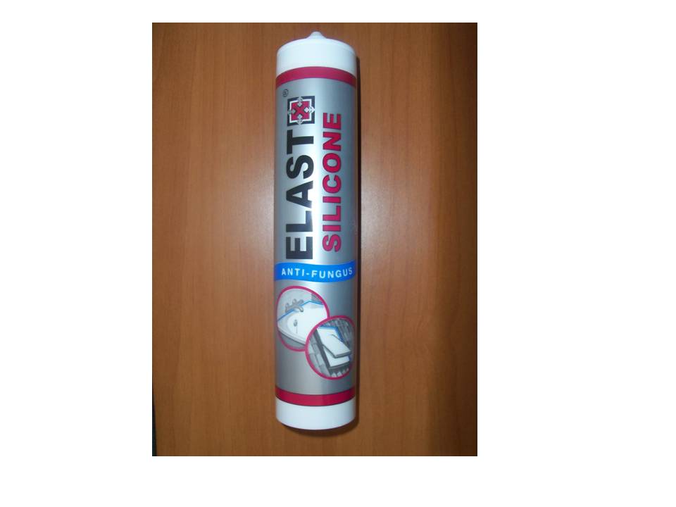 Elasto Anti-Fungus