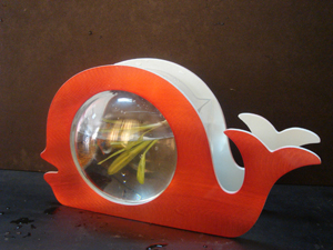 Aquarium and accessories