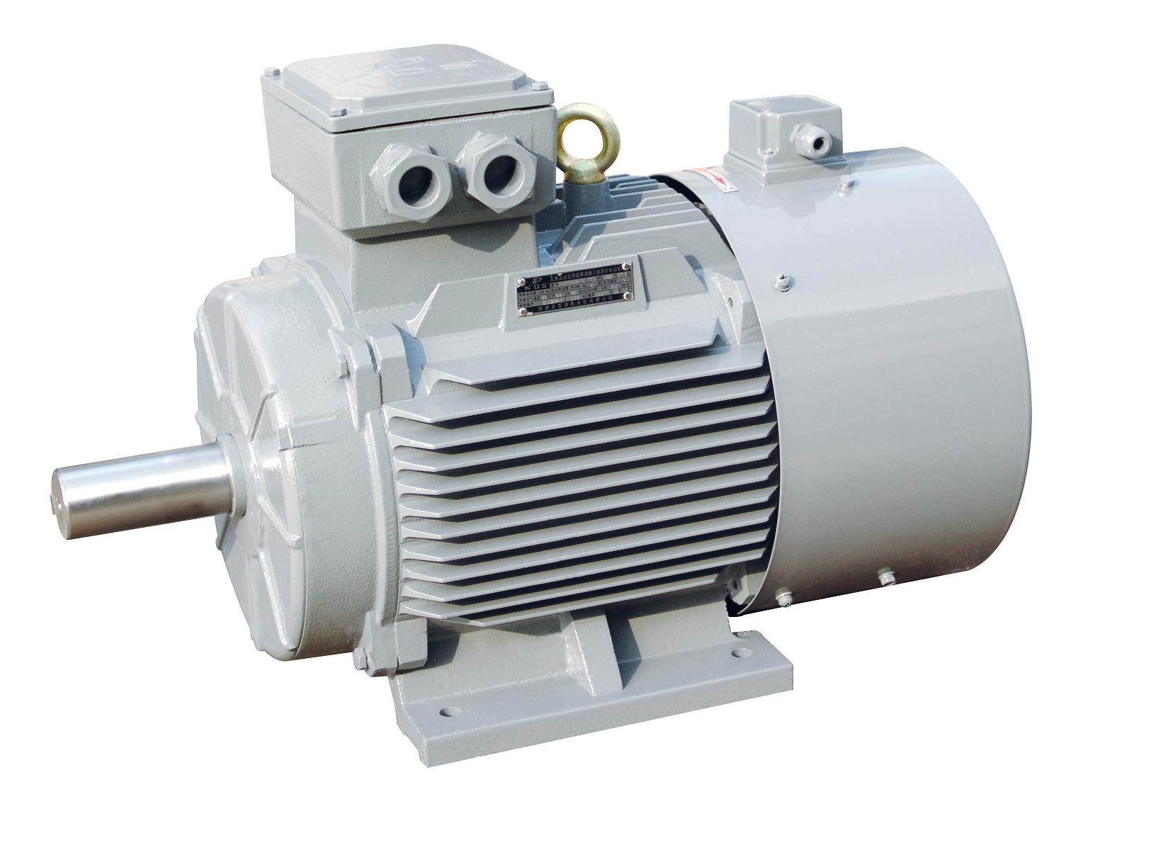 Hoist Motor