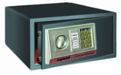 Electronic Safe