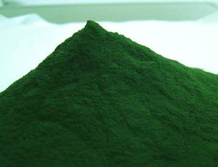 Spirulina Powder