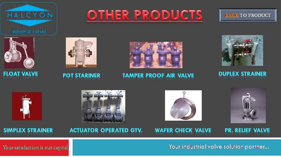 Industrial Valve