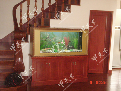 Fish tank