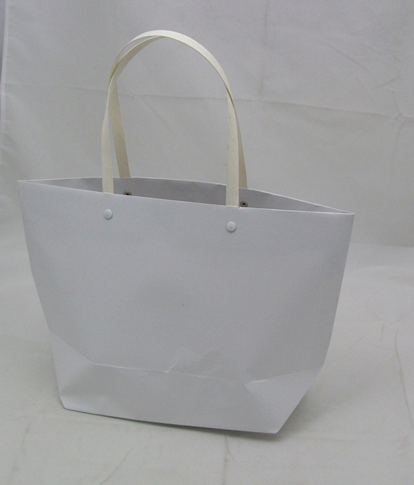 Shopping Paper Bags