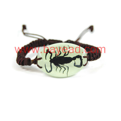 Real Scorpion insect amber crafts gifts, Fashional Jewellery, Fashional