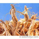 Panax Ginseng Extract