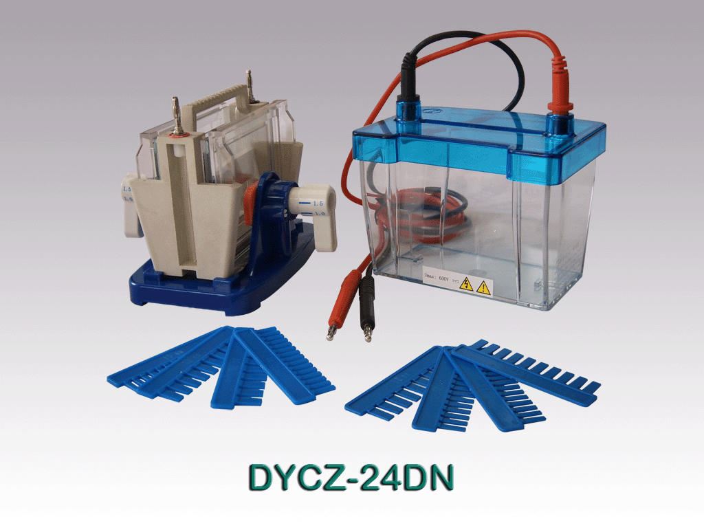 Dual Double Vertical Electrophoresis