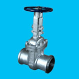 Bolted Bonnet Cast Steel Gate Valve