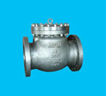 Bonnet Cover Swing Check Valve