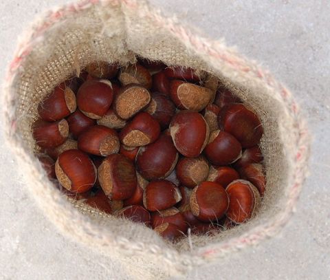 Fresh Chestnut & Frozen Chestnut