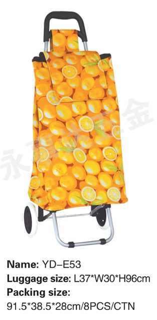 shopping trolley bag