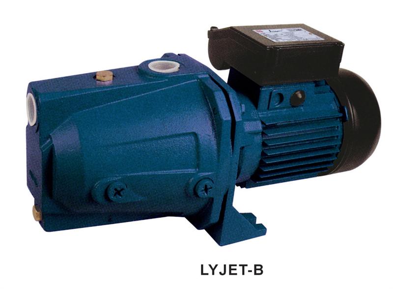 Self Priming Pump