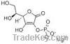 Magnesium Ascorbyl Phosphate