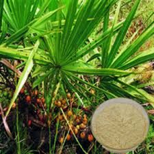 Saw Palmetto Extract