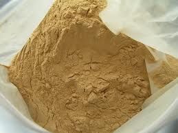 Astragalus Extract