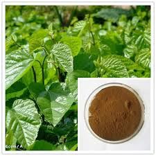 Mulberry leaf extract