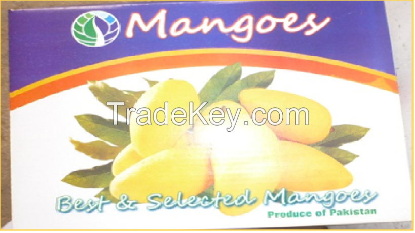 Chaunsa Mango -