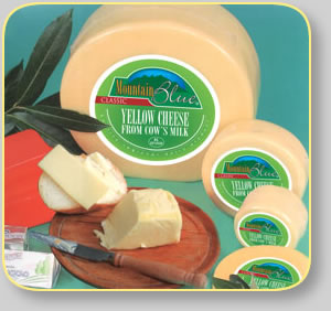 Quallity Bulgarian Yellow cheese