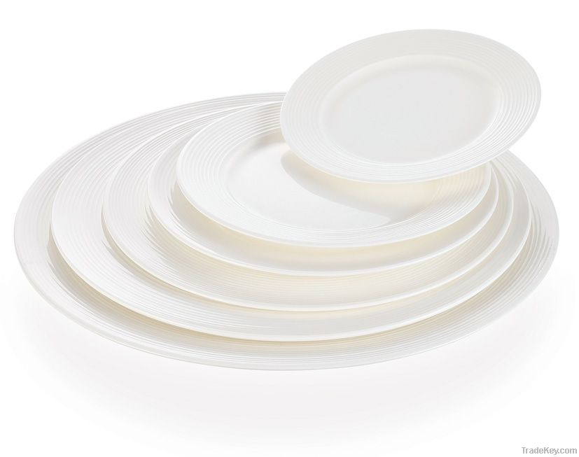 porcelain dinner plate