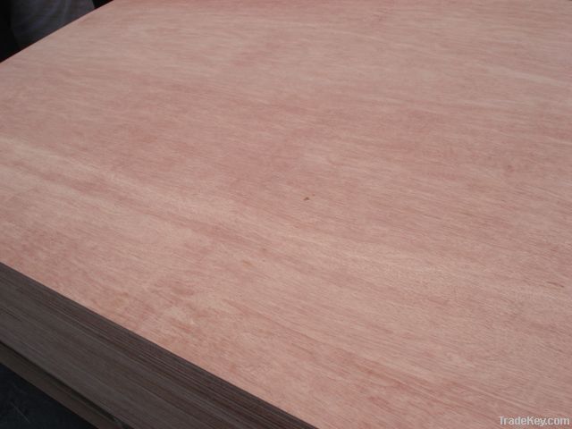 Bintangor face/back commercial plywood 18mm good quality