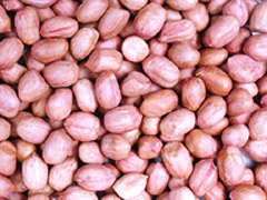 peanut kernels(round type)