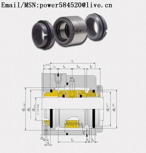 unbalanced double mechanical sealsHM74D