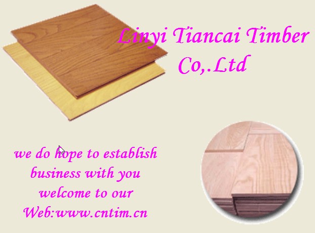 Tiancai Plywood&acirc;&acirc;Health  Hatters