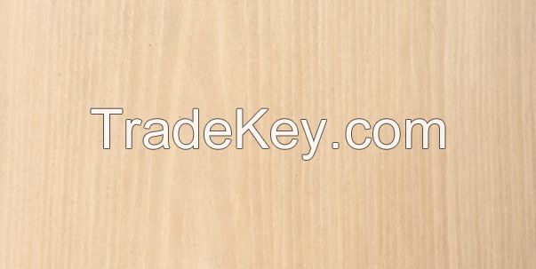 Maple engineered veneer