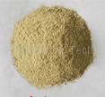 fishmeal