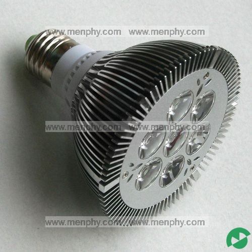 LED Par Light