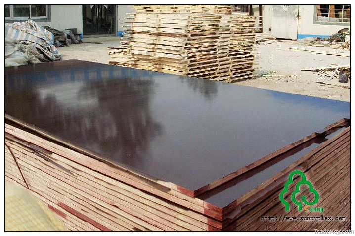 china marine plywood/sasco 1930/marineplex