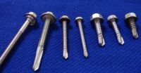 Self Drilling Screw