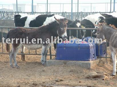 Prost Proof Waterer