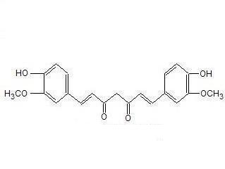 Turmeric Extract