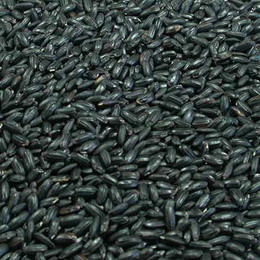 Black Rice Extract Powder